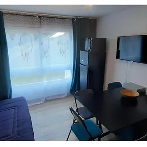  Appartement Puy Saint Vincent 1600 France